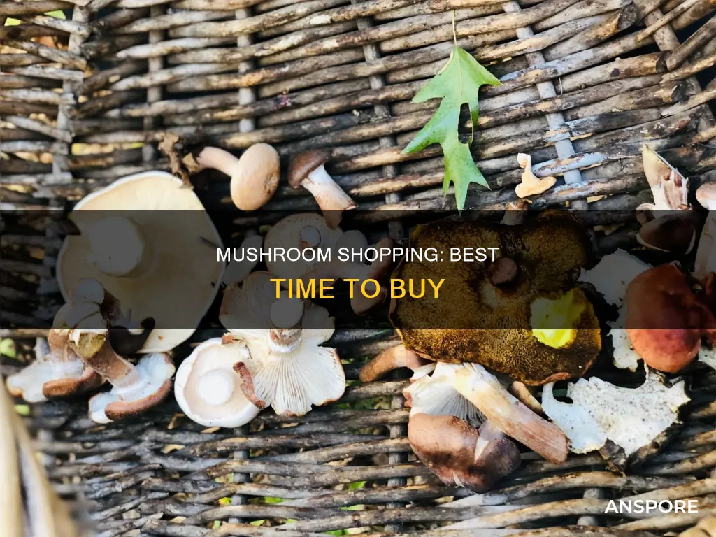 when is mushroom season shopping