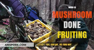 Mushroom Fruiting: When is it Done?