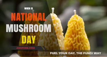 Mushroom Day: A National Celebration in October