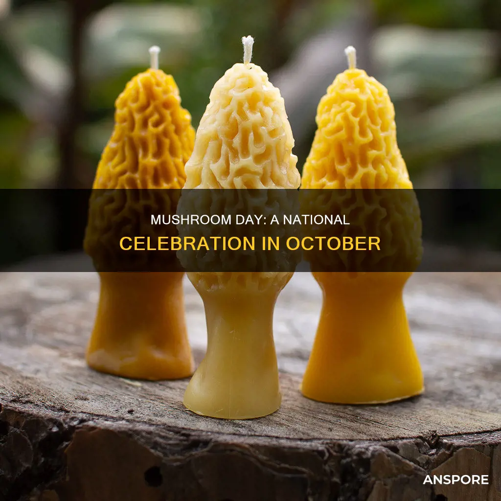 when is national mushroom day