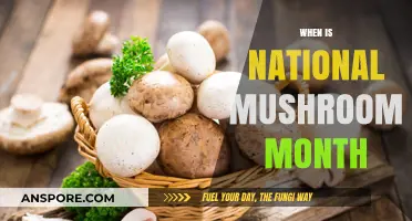 Mushroom Month: A National Celebration in September