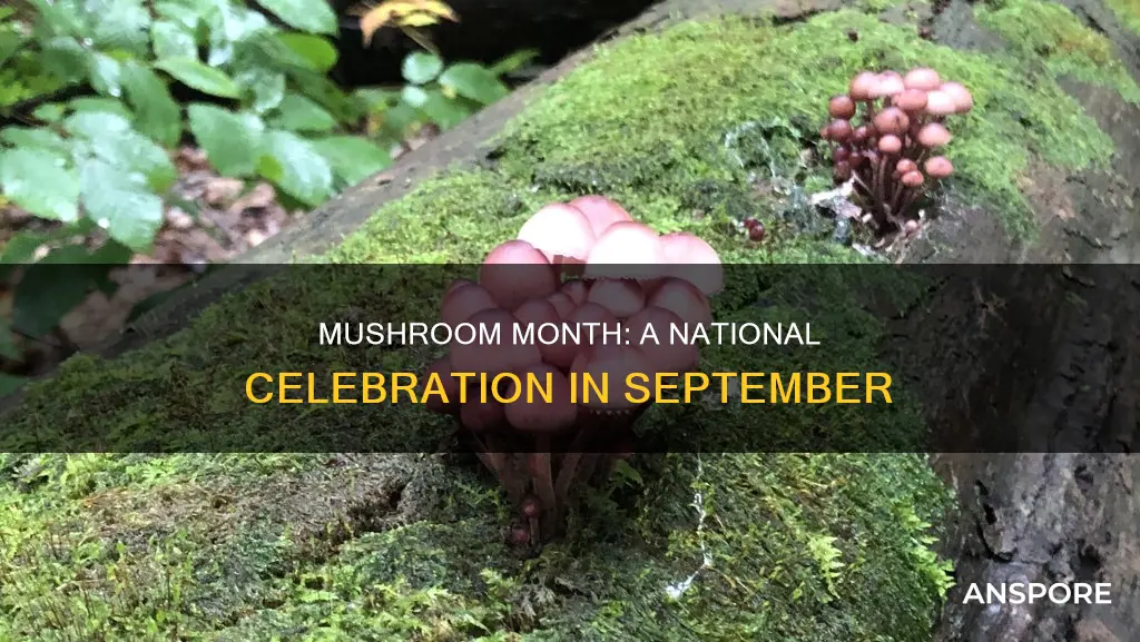 when is national mushroom month