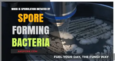 Sporulation Timing: How and When Spore-Forming Bacteria Initiate the Process