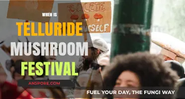 Mushroom Festival in Telluride: Date Announcement