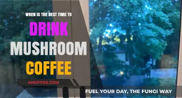 Optimal Timing for Mushroom Coffee: Boost Energy and Focus Naturally