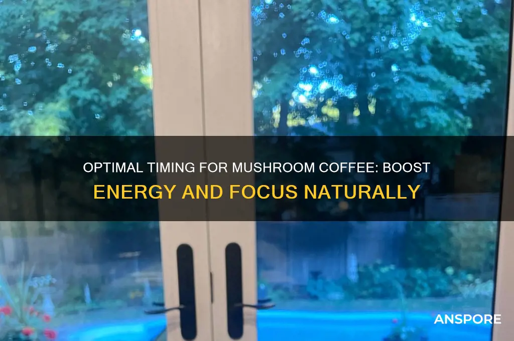 when is the best time to drink mushroom coffee