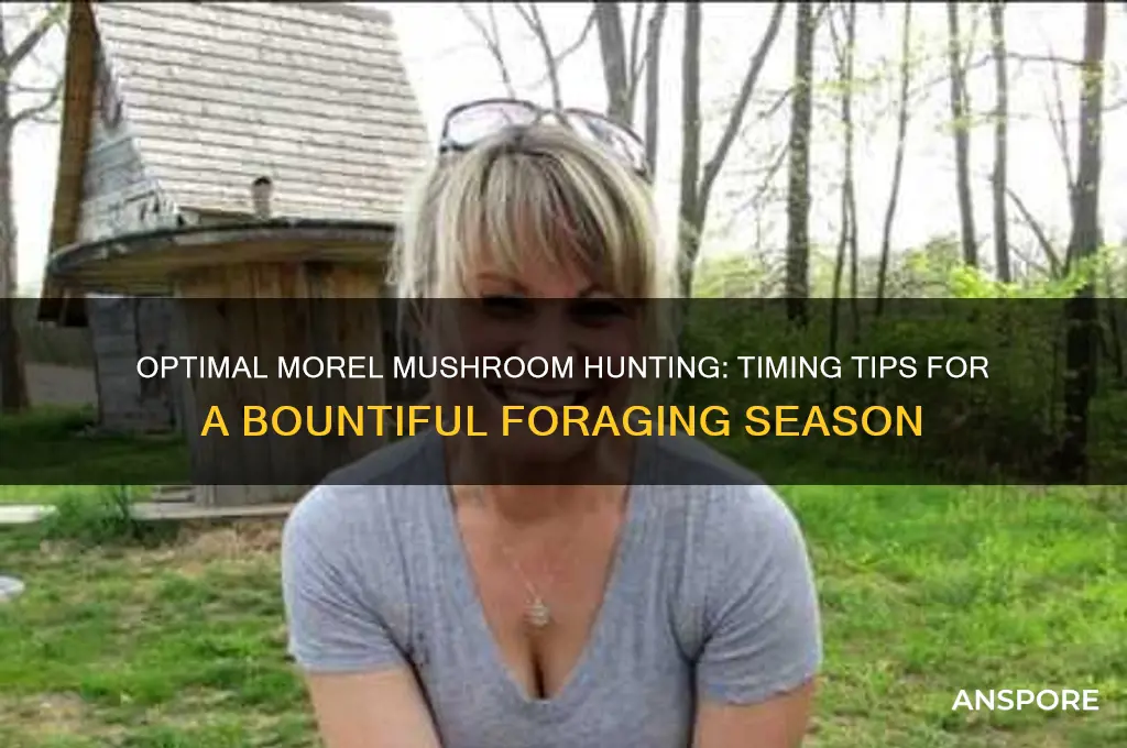when is the best time to find morel mushrooms