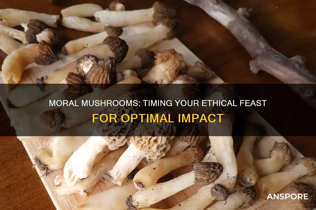 when is thr right time to eat a moral mushrooms