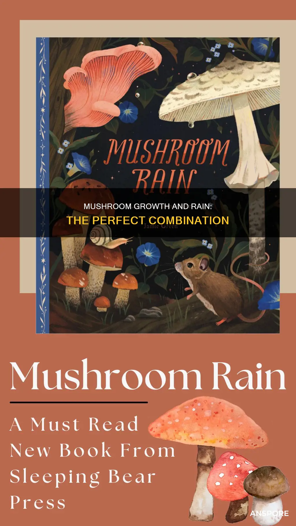 when it rains at mushrooms