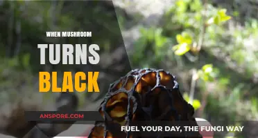 Mushroom Care: Blackening and What It Means