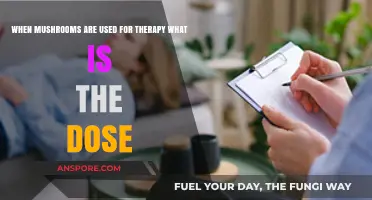 Exploring Therapeutic Mushroom Dosing: Finding the Right Balance for Healing