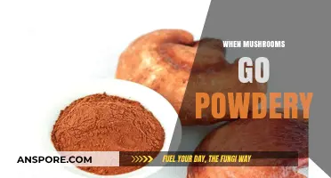 Mushroom Mold: Why Do Mushrooms Turn Powdery?