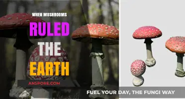 Mushrooms: Earth's Ancient Rulers and Their Legacy