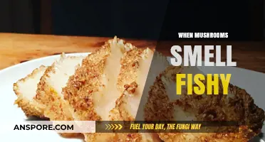 Mushrooms: Why They Smell Fishy and What to Do