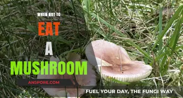 Avoid Toxic Mushrooms: When Not to Eat a Mushroom