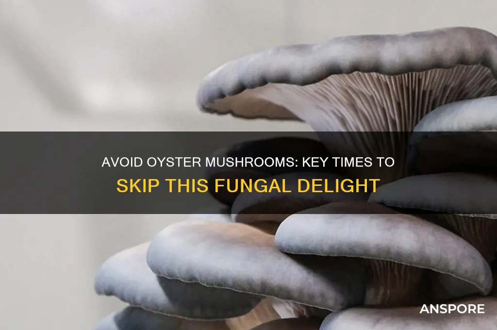 when not to eat oyster mushrooms