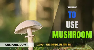 Avoid Mushrooms: Situations Where They’re Not the Right Choice
