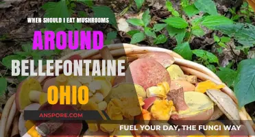 Best Times to Forage and Enjoy Mushrooms Near Bellefontaine, Ohio