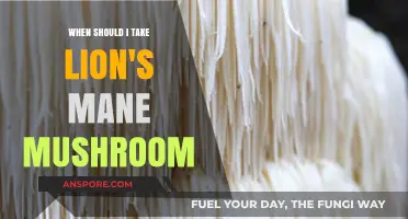 Optimal Timing for Lion's Mane Mushroom Benefits: A Comprehensive Guide