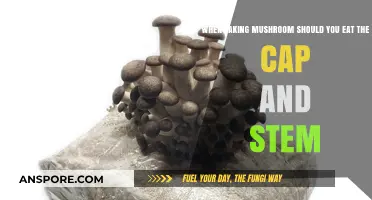 Should You Eat Mushroom Caps and Stems? A Consumption Guide