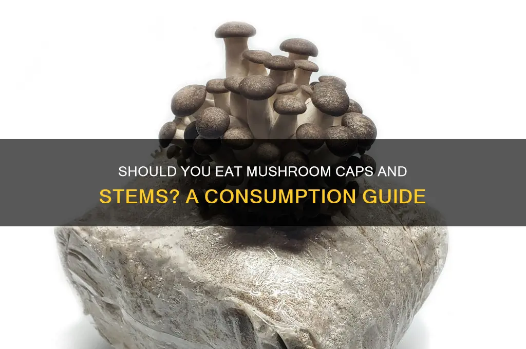 when taking mushroom should you eat the cap and stem