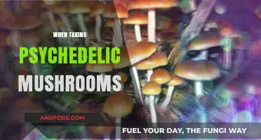 Psychedelic Mushrooms: A Trip to the Unknown