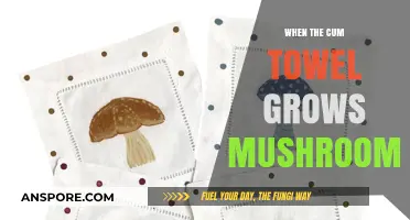 Unusual Growth: When Cum Towels Sprout Mushrooms - Causes & Solutions