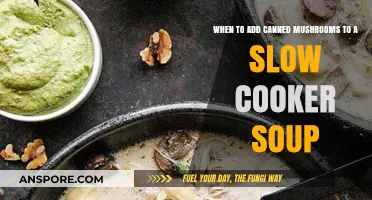 Perfect Timing: Adding Canned Mushrooms to Slow Cooker Soup