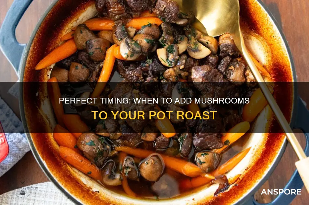 when to add mushrooms to pot roast