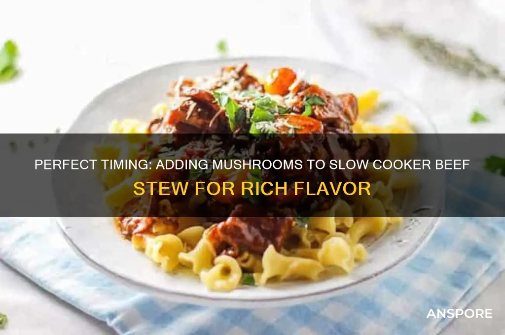 when to add mushrooms to slow cooker beef stew