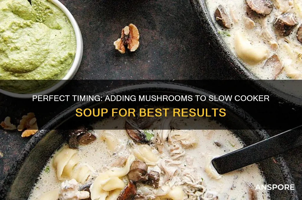 when to add mushrooms to slow cooker soup