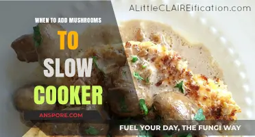 Perfect Timing: When to Add Mushrooms to Your Slow Cooker Meals