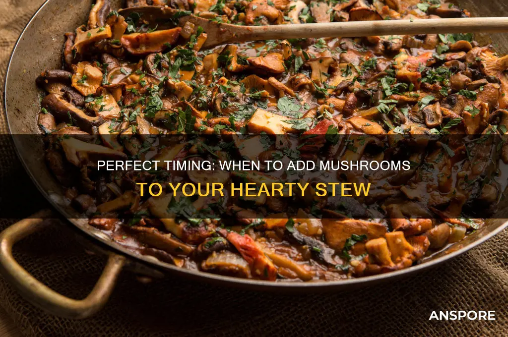 when to add mushrooms to stew