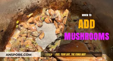 The Art of Mushroom Timing: When to Add Them?