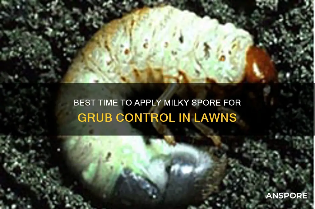 when to apply milky spore
