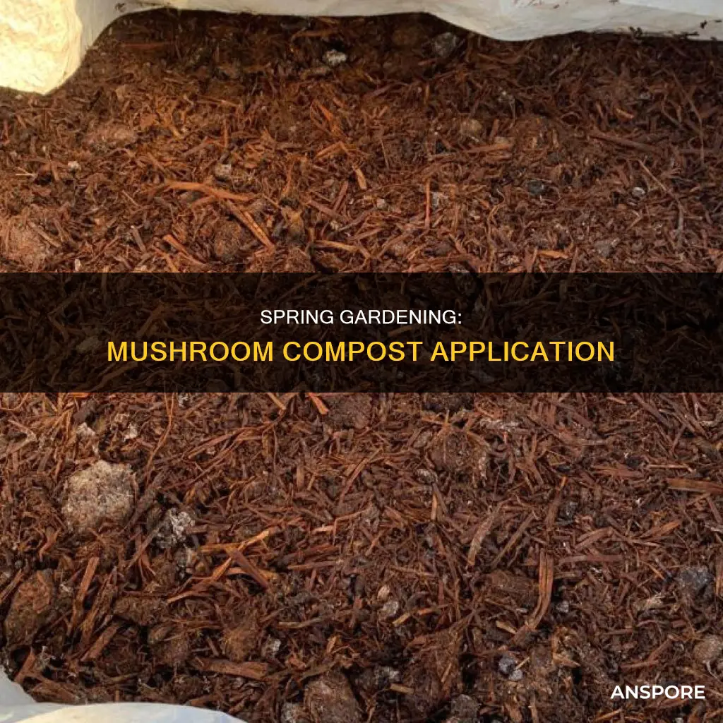when to apply mushroom compost