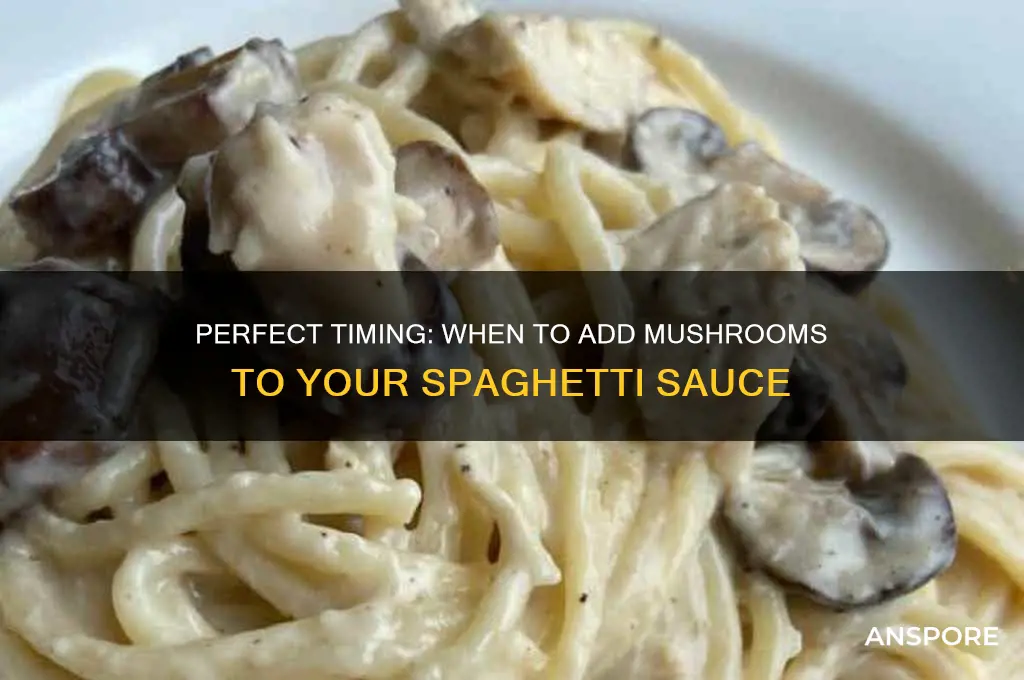 when to cook mushrooms in spaghetti sauce