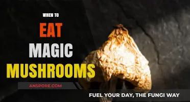 Timing Your Trip: Optimal Moments for Consuming Magic Mushrooms