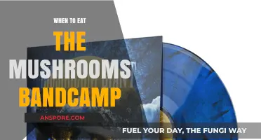 When to Eat the Mushrooms: Bandcamp's Best Kept Secret