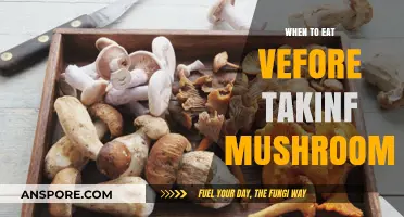 Timing Your Meal: When to Eat Before Taking Mushrooms Safely