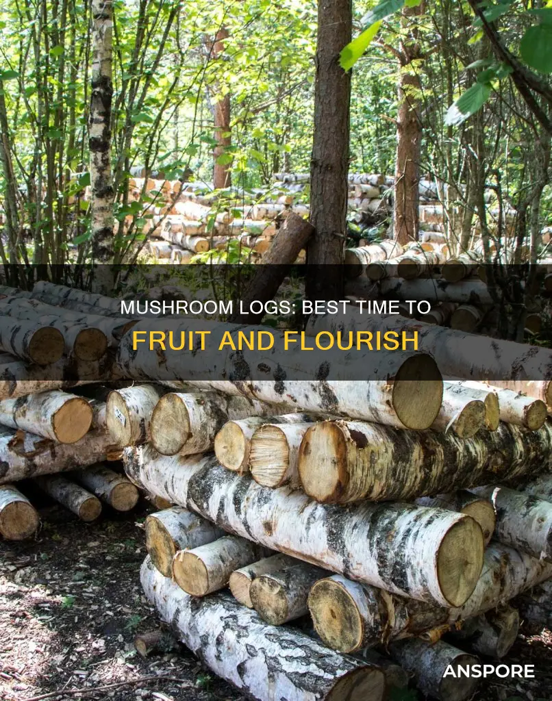 when to fall mushroom log