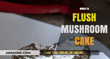 The Perfect Time to Flush Your Mushroom Cakes