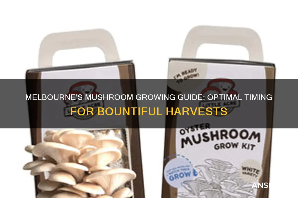 when to grow mushrooms melbourne