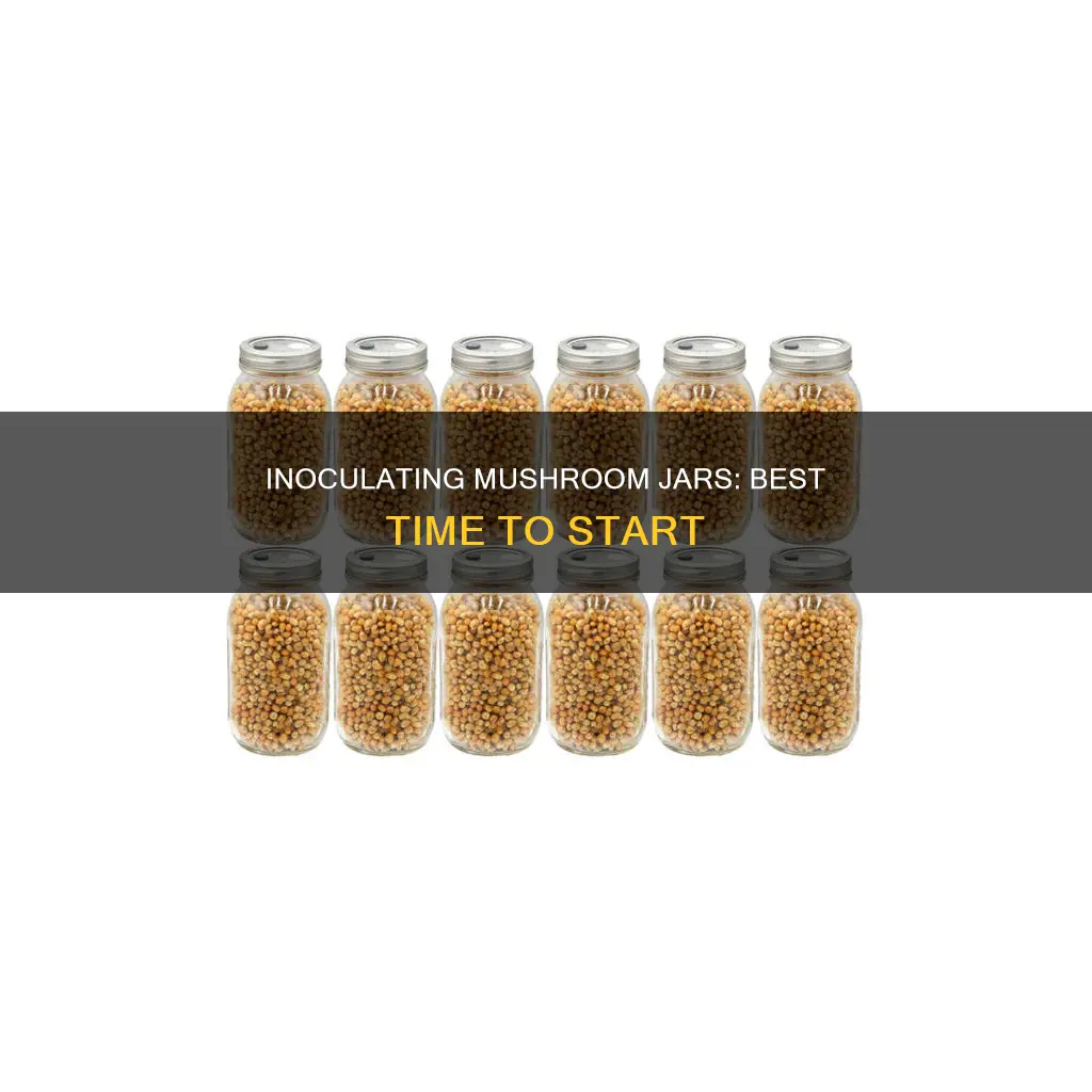 when to inoculate mushroom jaras