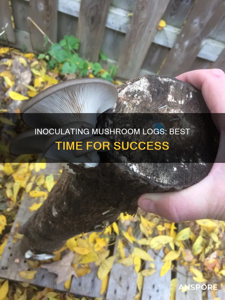 when to inoculate mushroom logs