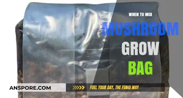 Perfect Timing: When to Mix Your Mushroom Grow Bag for Success