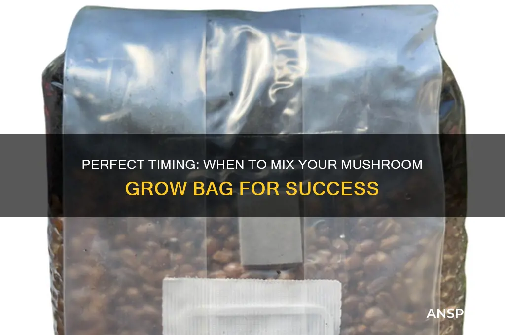 when to mix mushroom grow bag