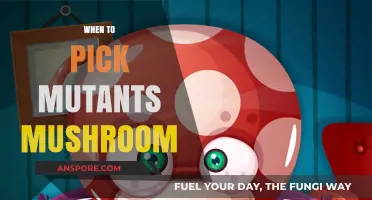 Picking Mutants: Best Time to Harvest Mushrooms