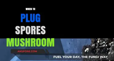 The Ultimate Guide: Timing Your Mushroom Spores