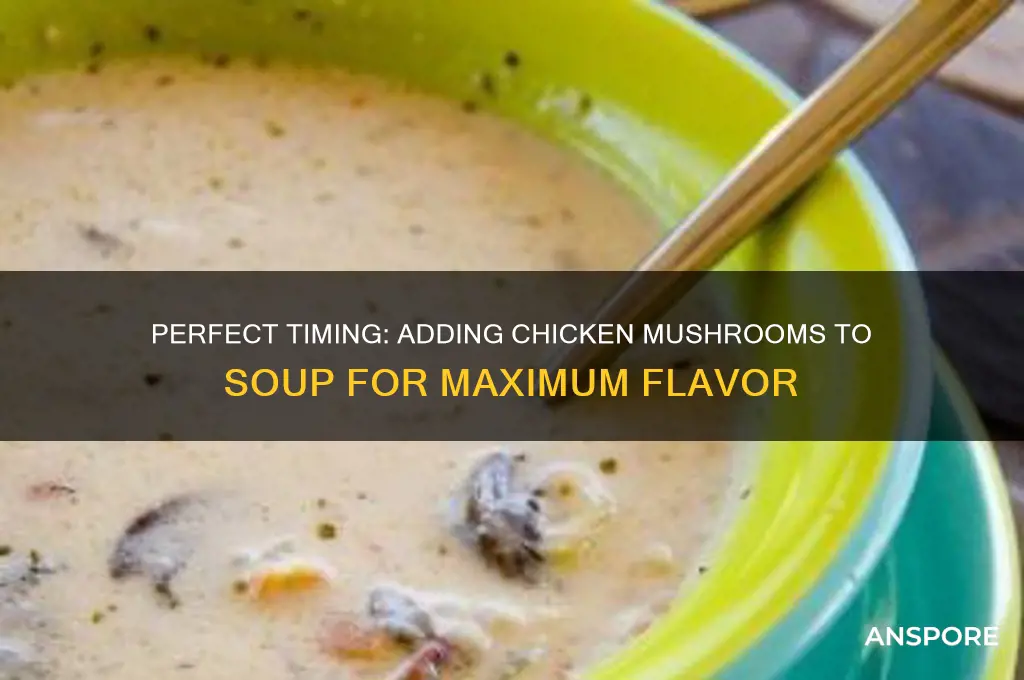 when to put chicken mushrooms in soup
